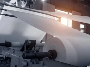 pulp paper industry